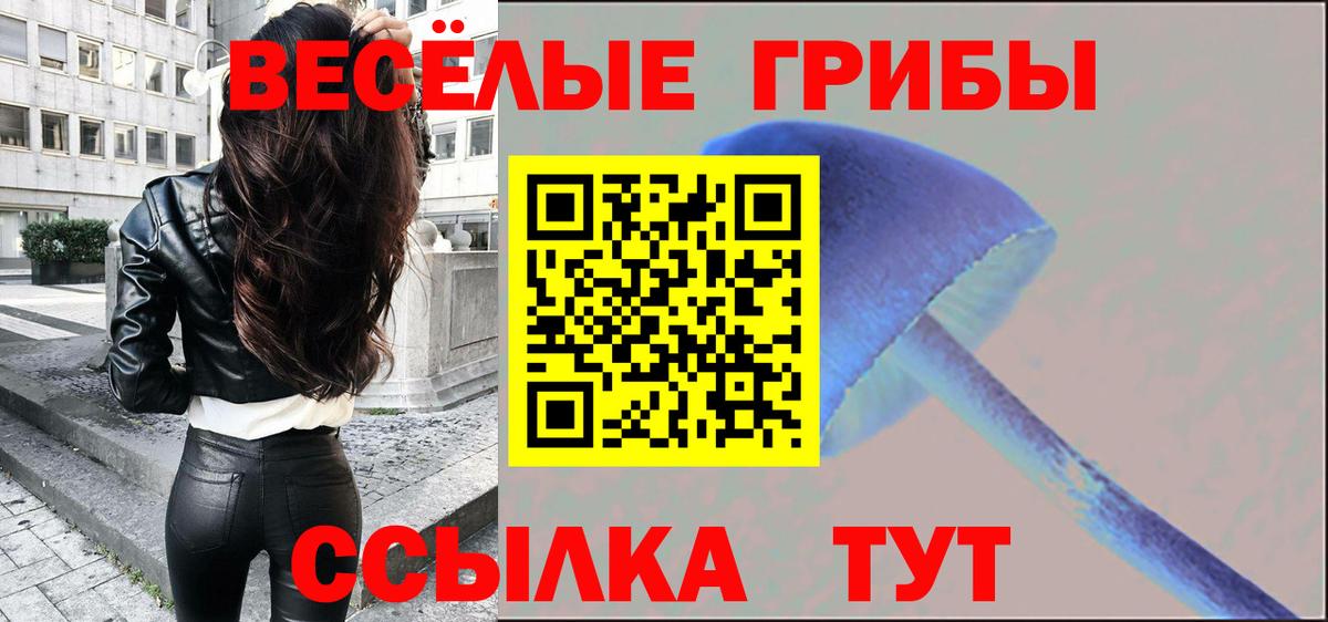 Уссурийск  Псилоцибиновые грибы Psilocybine cubensis  купить наркотики цена  Вход с VPN  Галлюциногенные грибы прущие грибы 